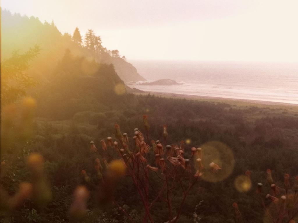 Salt Hotel Ilwaco Dış mekan fotoğraf