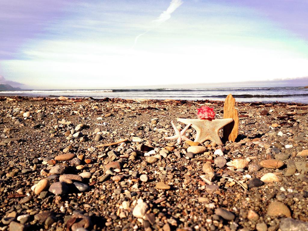 Salt Hotel Ilwaco Dış mekan fotoğraf